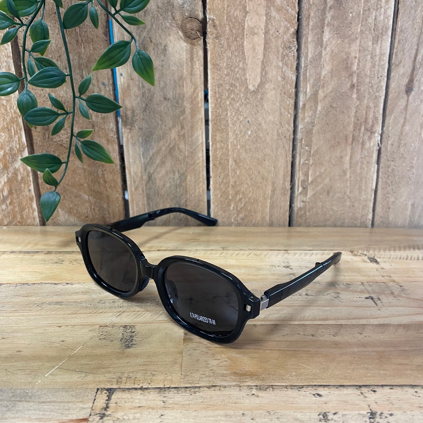 Foldable Polarised Sunglasses